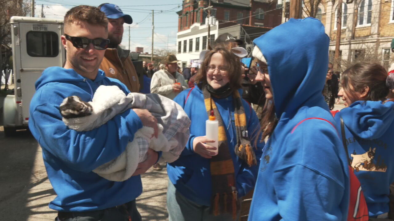 Goat races returning for Bock Fest in NuLu on Saturday in Louisville